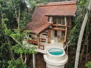 4 4 Treehouse Ricefield View